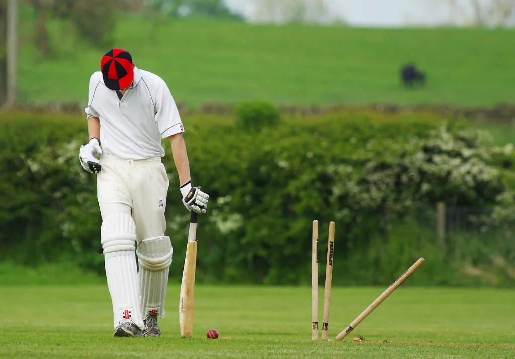 cricket, stumps, ball-724616.jpg