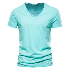 mens v neck t shirts 8 men's v neck t shirts (8)