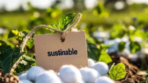 Sustainability Representation c Sustainability Representation c